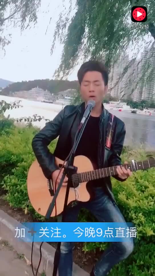 盛夏光年陈冰mp3下载_盛夏的果实 mp3