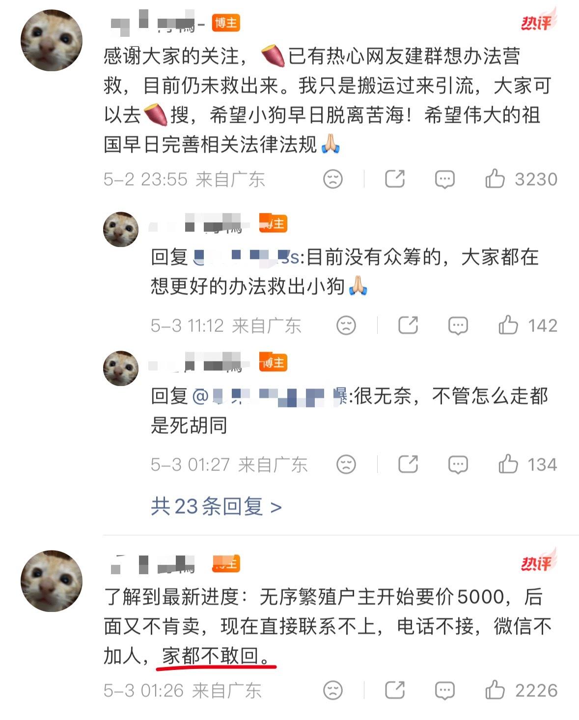 繁殖犬抑郁“我为活在施虐者/潜在的罪犯身边感到恐慌！”不是，这不比你们切除子宫