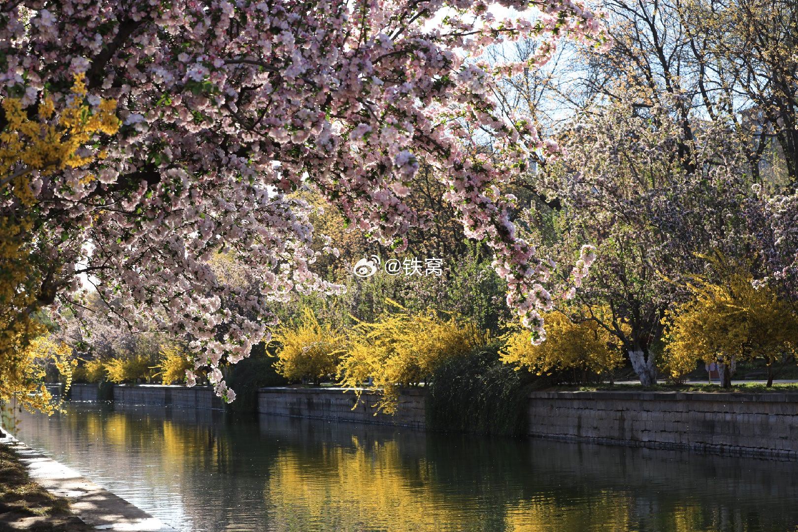 又见海棠花溪摄影