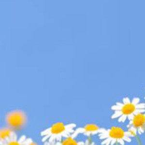 我阿姨有一次被狗咬了，一个星期之后又出车祸了，还挺严重，盆骨骨折，整个腰胯那里都