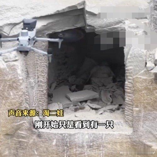 无人机意外发现崖洞干尸，警方通报后更让人揪心！59岁的曾某带着抑郁困扰失联数月，