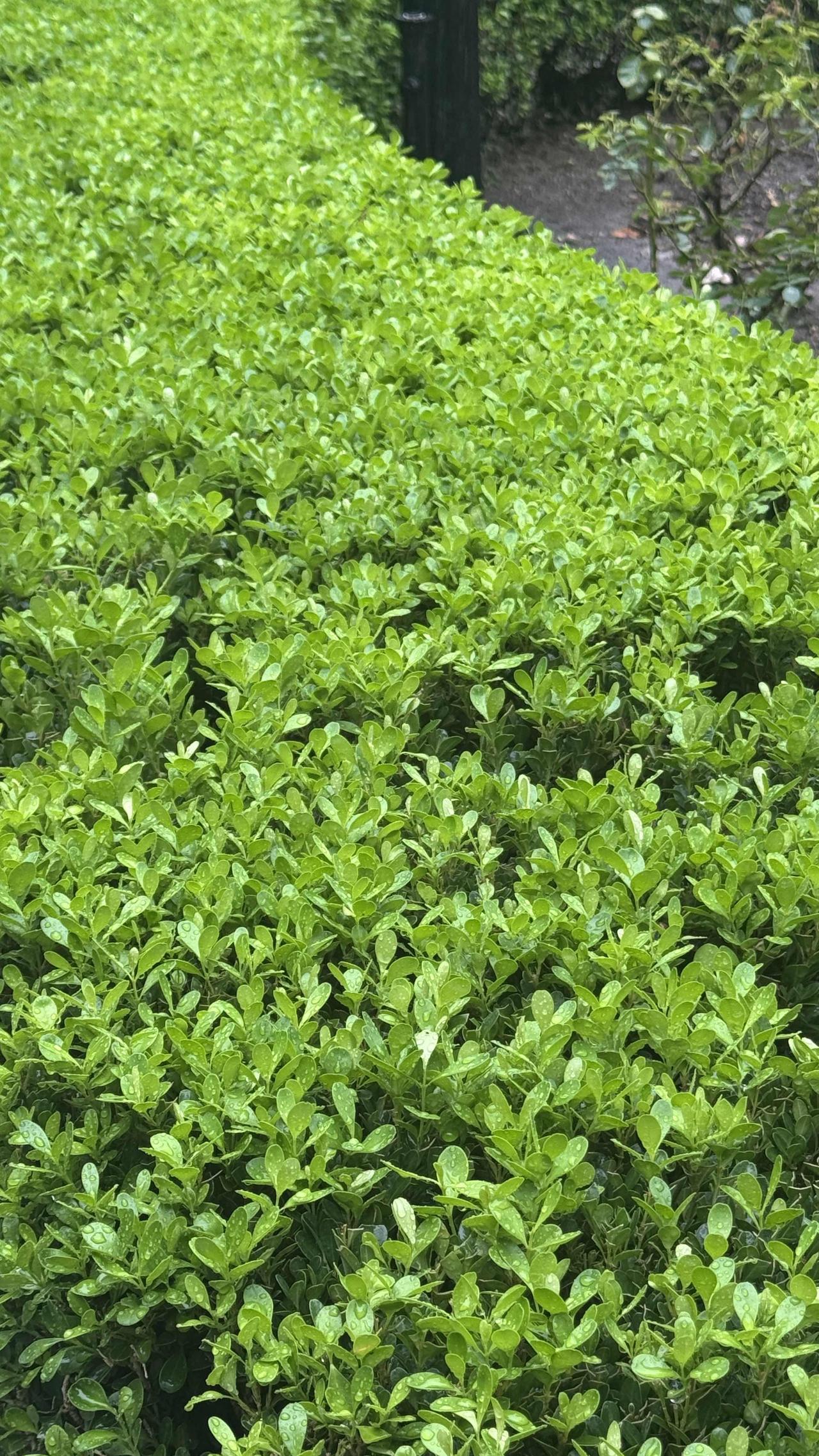 人幸福不幸福，关键不在于你拥有什么，而在于你如何看待自己所拥有的。隔壁王叔退