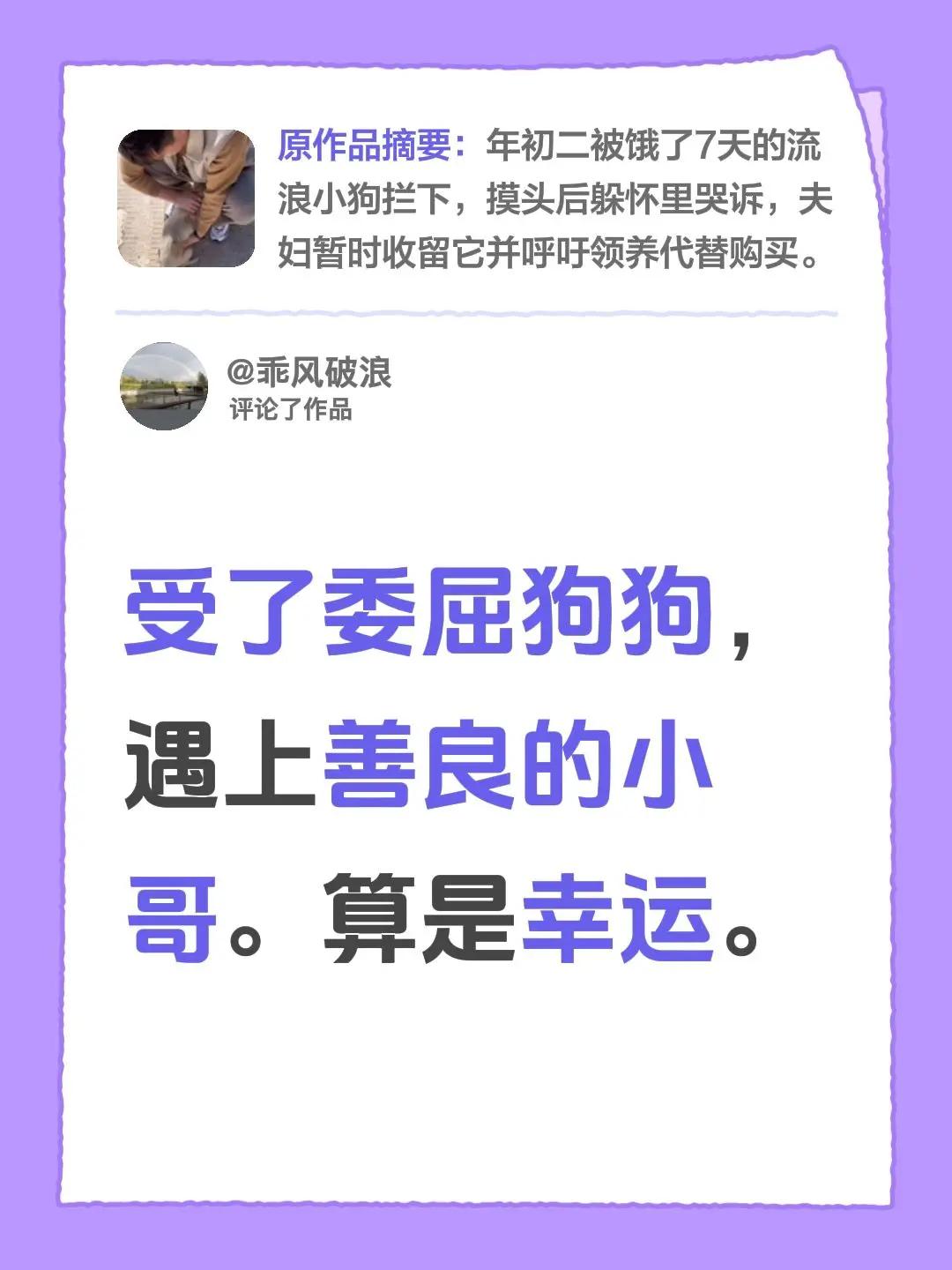 流浪狗。我评论了@臭宝麻麻-是哑铃呀的作品：受了委屈狗狗，遇上善良的小哥。算是