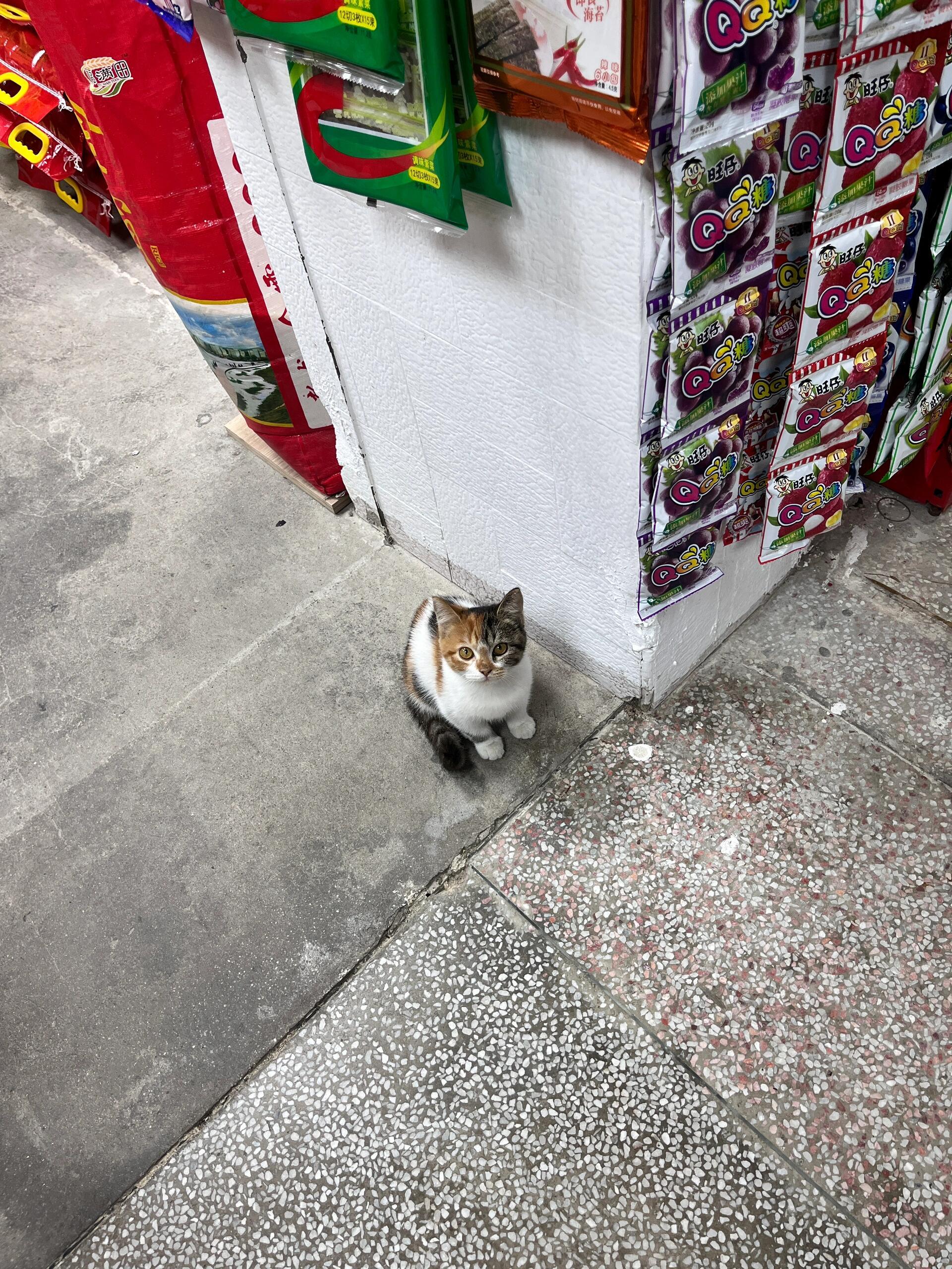 你好，老板，请给我一包小鱼干，原味的​​​
