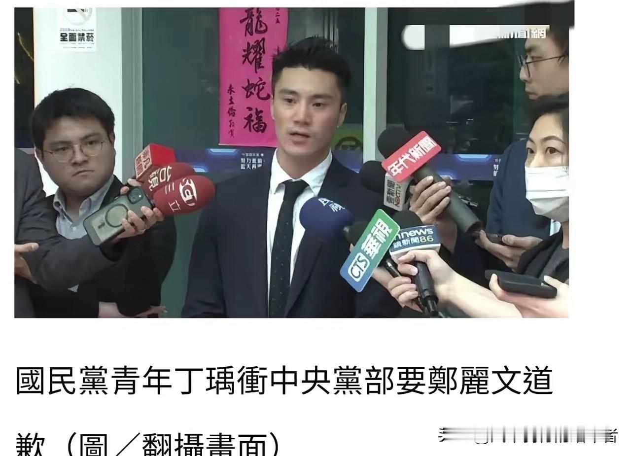 国民党里的新晋成员丁瑀，刚加入国民党没满一年就被推荐为不分区立委候选人。现在