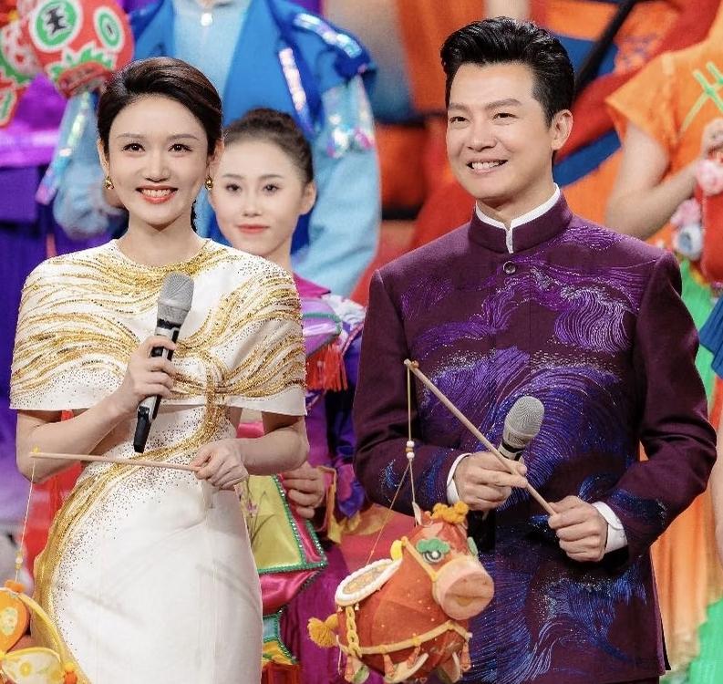 央视主持人中气质好的有很多，男主持人任鲁豫、张韬的气质不错。女主持人中，龙洋