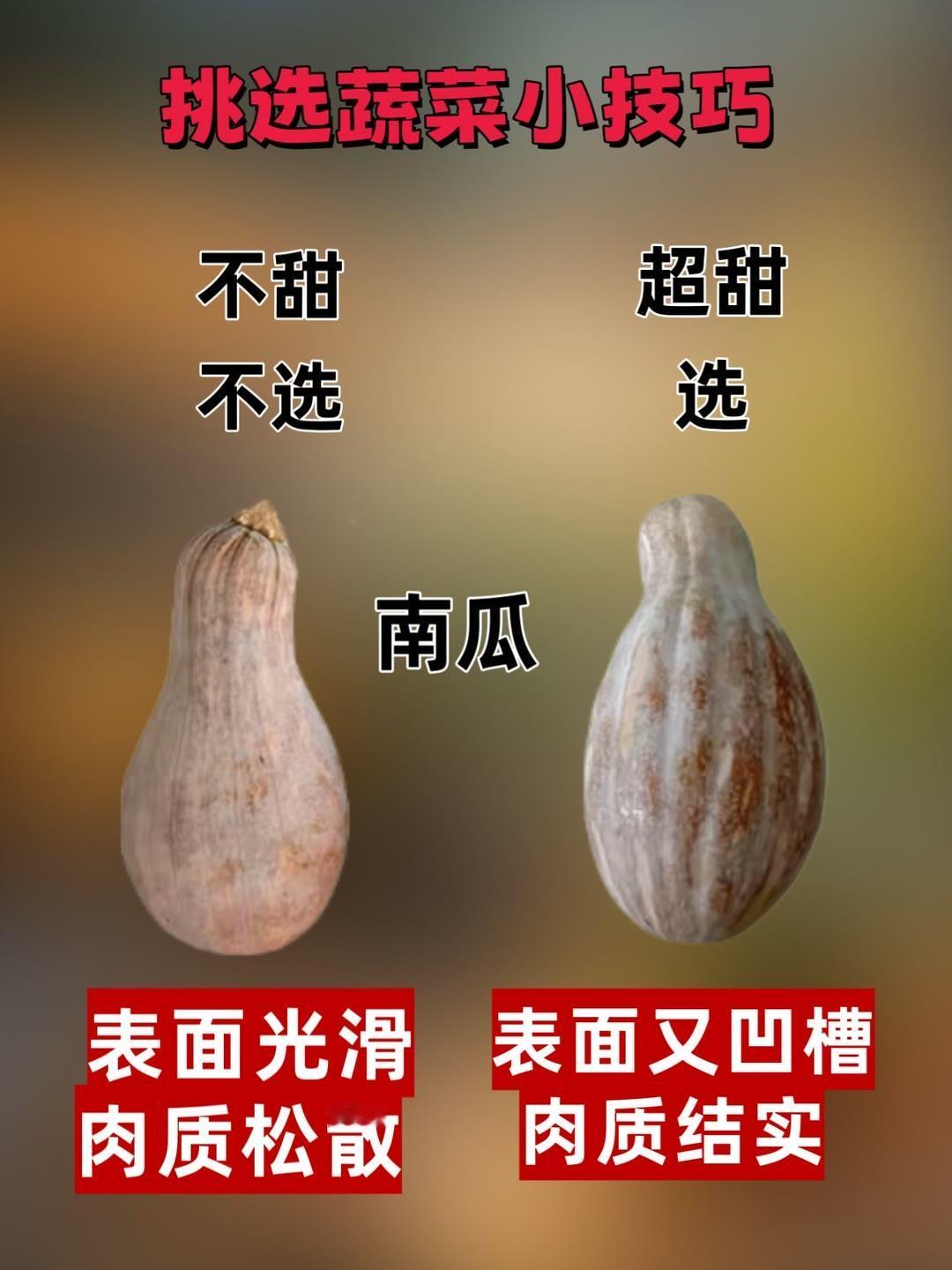 爱买菜的姐妹们，学会挑选蔬菜的小窍门，能够轻松选出好食材普及知识买菜挑选小