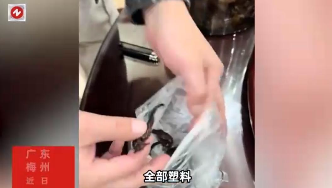 心理作用有时确实很神奇！广东梅州陈先生家中，一瓶由其父花费数千元购买海马泡制、