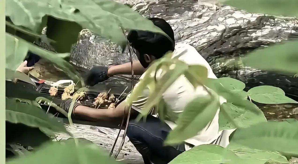 捏把汗，印度游客秦岭半山腰生火烧烤，周围全是干透的树枝和落叶看到网友在西安金龙