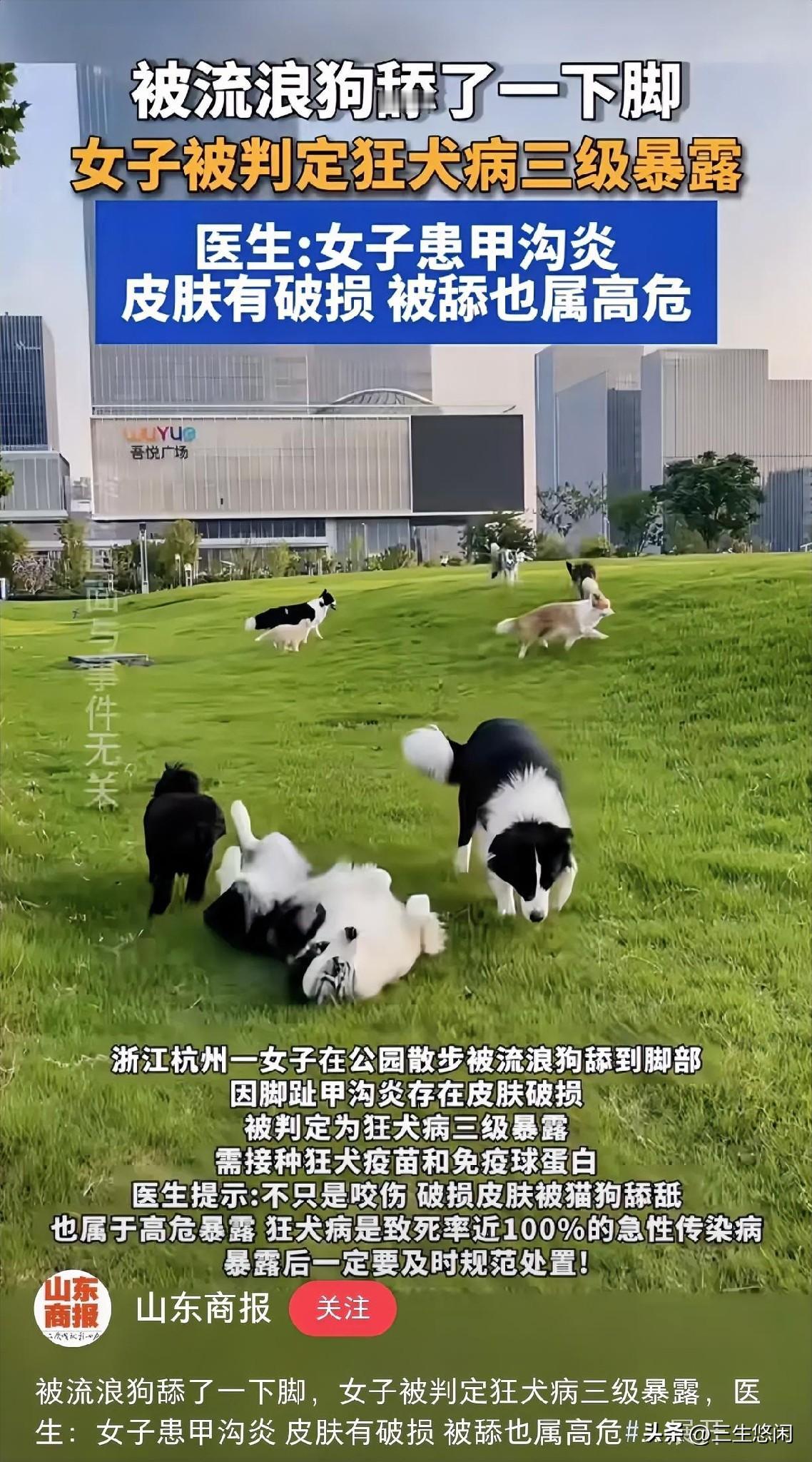 那些爱狗人士们注意了，当心得上狂犬病。一女子在投喂流浪狗时，被流浪狗舔了一下脚，