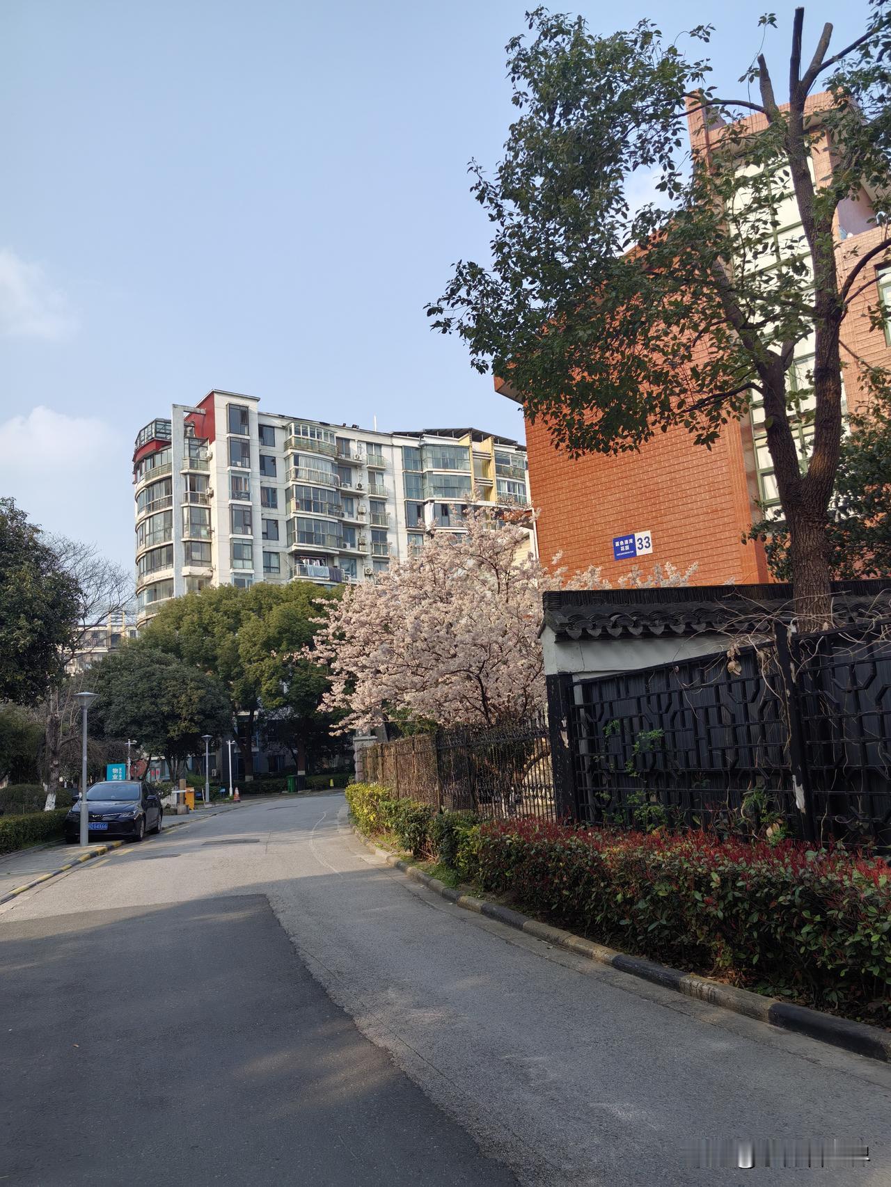 我有个同学，每天要吃十几种药，有的是治心脏方面，有的是医脚痛方面，还有的针对失眠