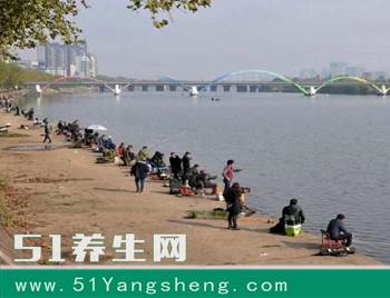放生数万斤鱼苗, 保育清理水质, 结果两岸日夜钓鱼, 三天钓完