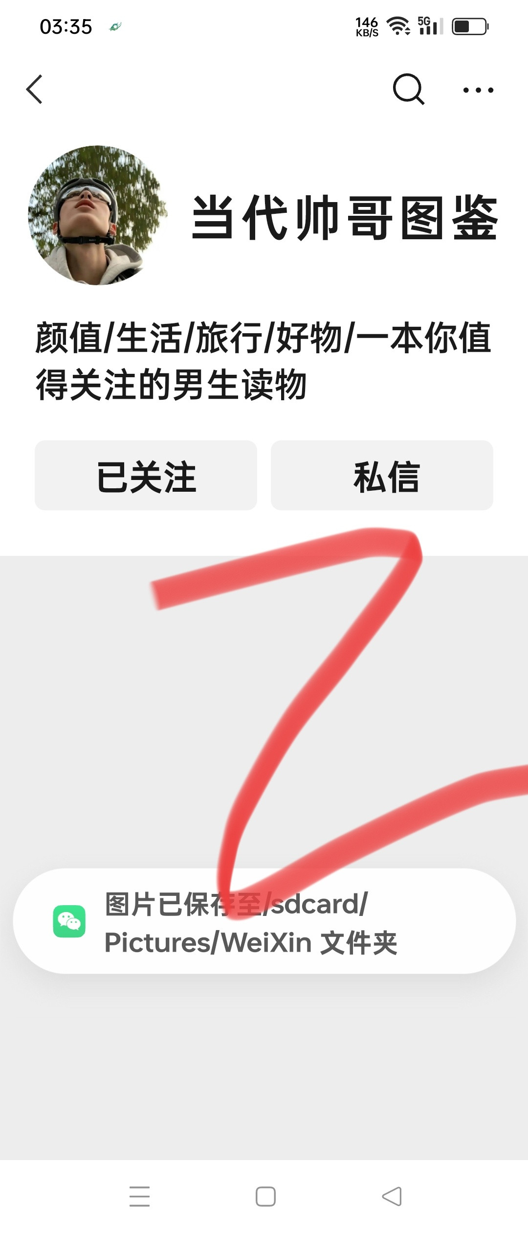 生命力独享风流的季节