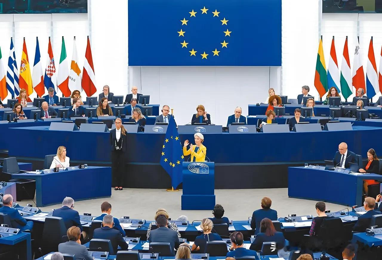 欧盟谴责中方称不该对乳制品加征关税，法国奶农一片哀嚎：损失惨重！2025年