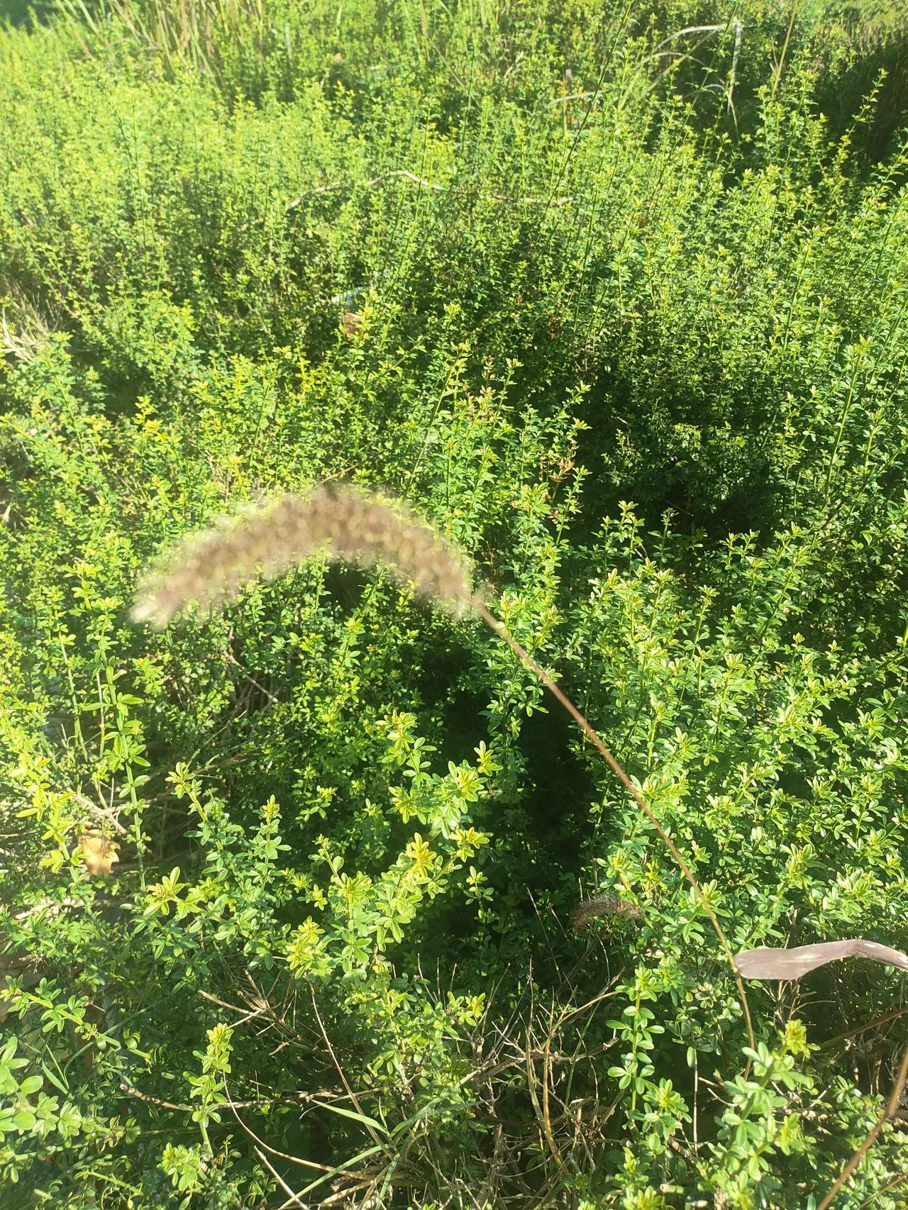 人人上高中是一个发展趋势，但中职学校不会取消虽然有不少地方已经开始试点，不参加