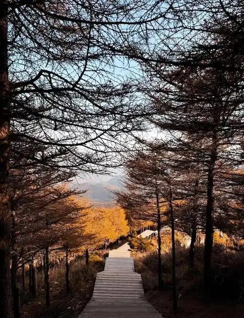 “峰峦叠翠的峡谷秘境”？溪流穿谷而过，森林茂密，夏季凉爽宜人，秋季彩林漫山，这里