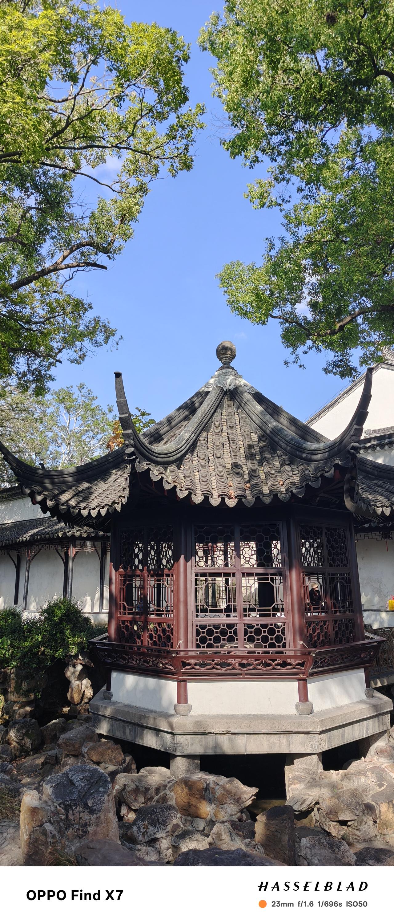 秋天的苏州真美提前预约了苏博门票，早上站在粉墙黛瓦前，看见排队队伍里夹杂着