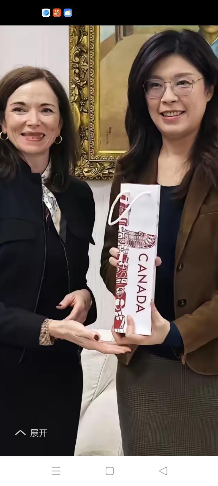 加拿大代表一个箭步冲过去，我们一贯坚持一个中国。郑丽文懵了，我还没问你已经抢