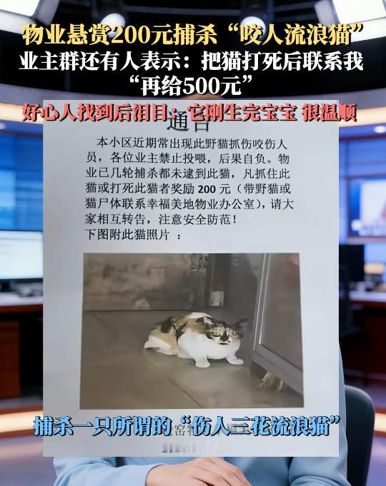 “最毒是人心！”6月26日报道，江苏淮安，一小区物业发出了追杀令，悬赏200杀一