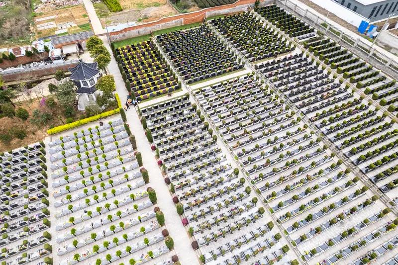 人类中，最好的殡葬制度.是..前几天刷到个视频，一位大爷为了给老伴买块墓地