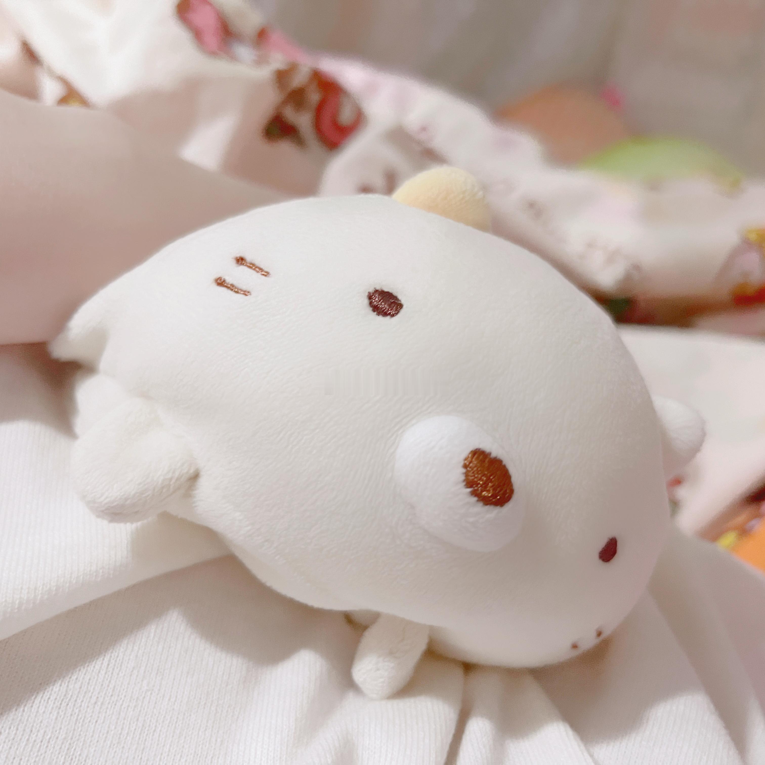 晚上睡觉觉的猫猫仔😚😚软糯乖乖……