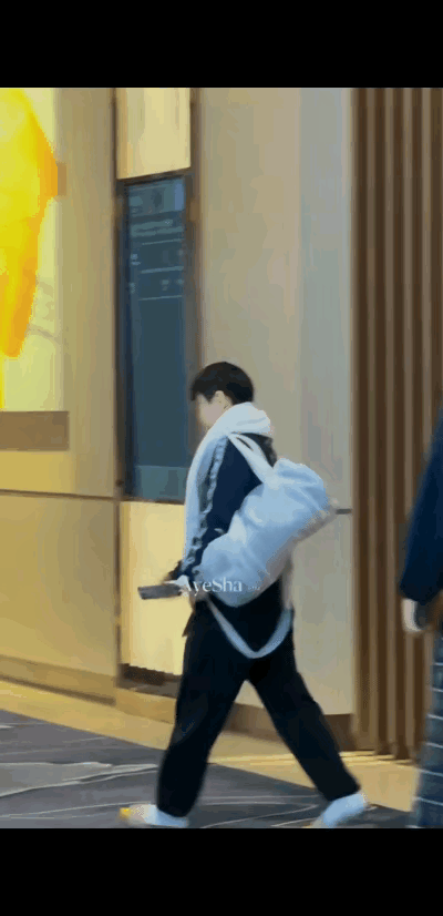 3月29日莎莎穿着拖鞋上训去了！今天早上，莎莎在女康复师的陪同下向酒店外走去，