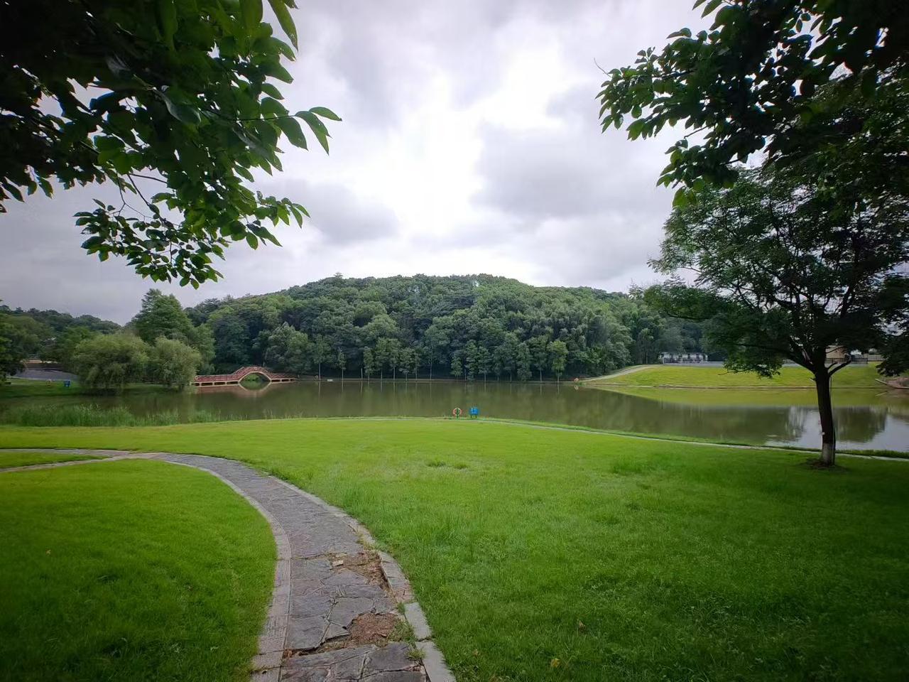 长沙园林生态园，夏日美景攻略！📍长沙园林生态园（开福区捞刀河）🎫需门票