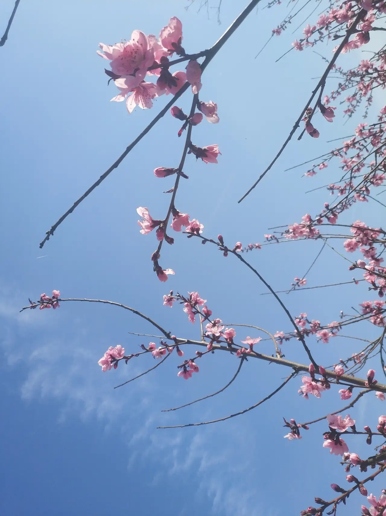 放量下跌，提醒过了！ 前两天，指数没涨动的时候，就已经明确告诉所有朋友了，高位不