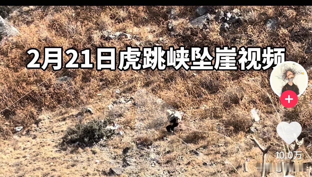 虎跳峡坠崖男童摔下去以后，他的奶奶紧接着就下去查看情况了。可由于缺乏常识，她竟用