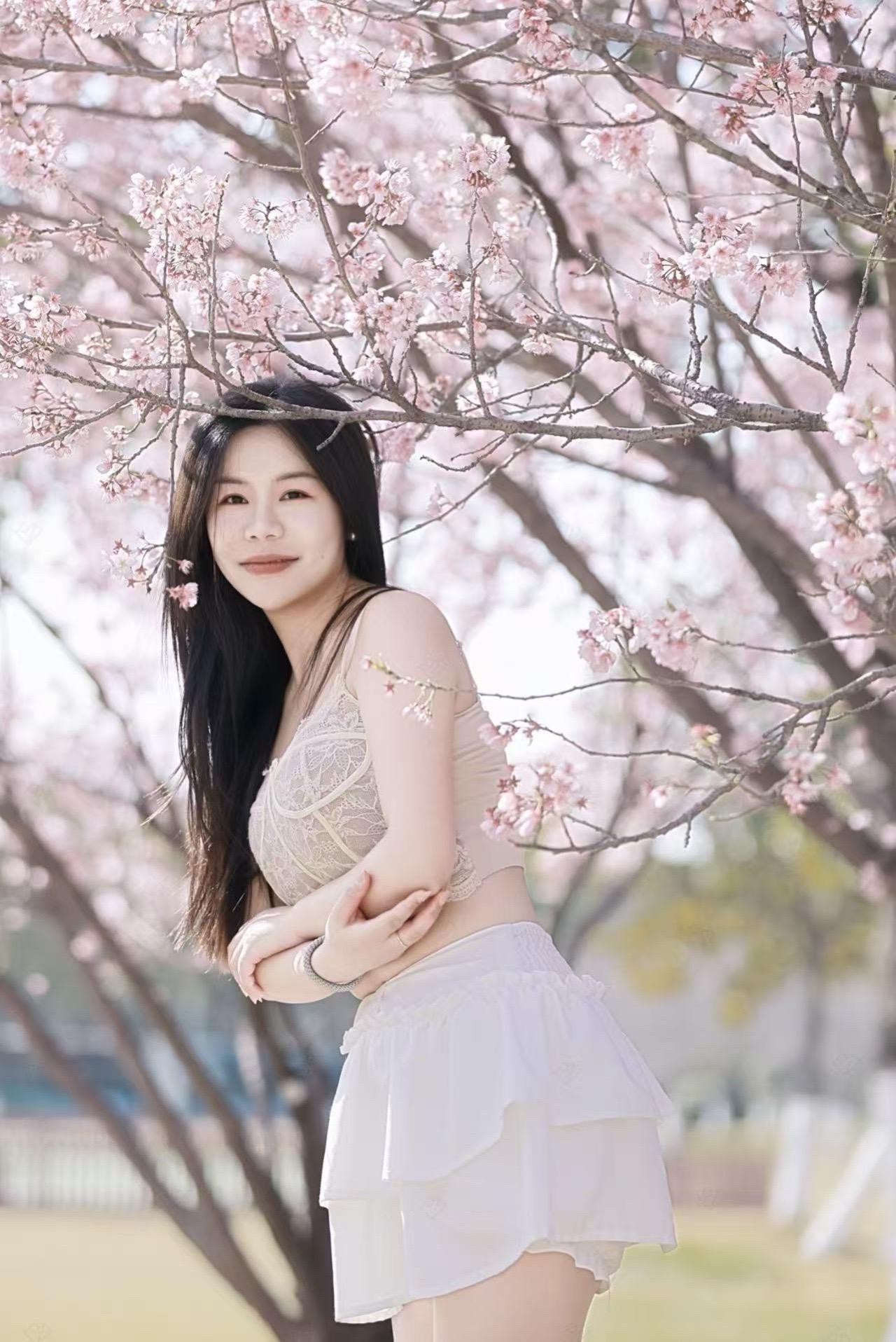 樱花季甜妹穿搭小狗西施犬樱花摄影