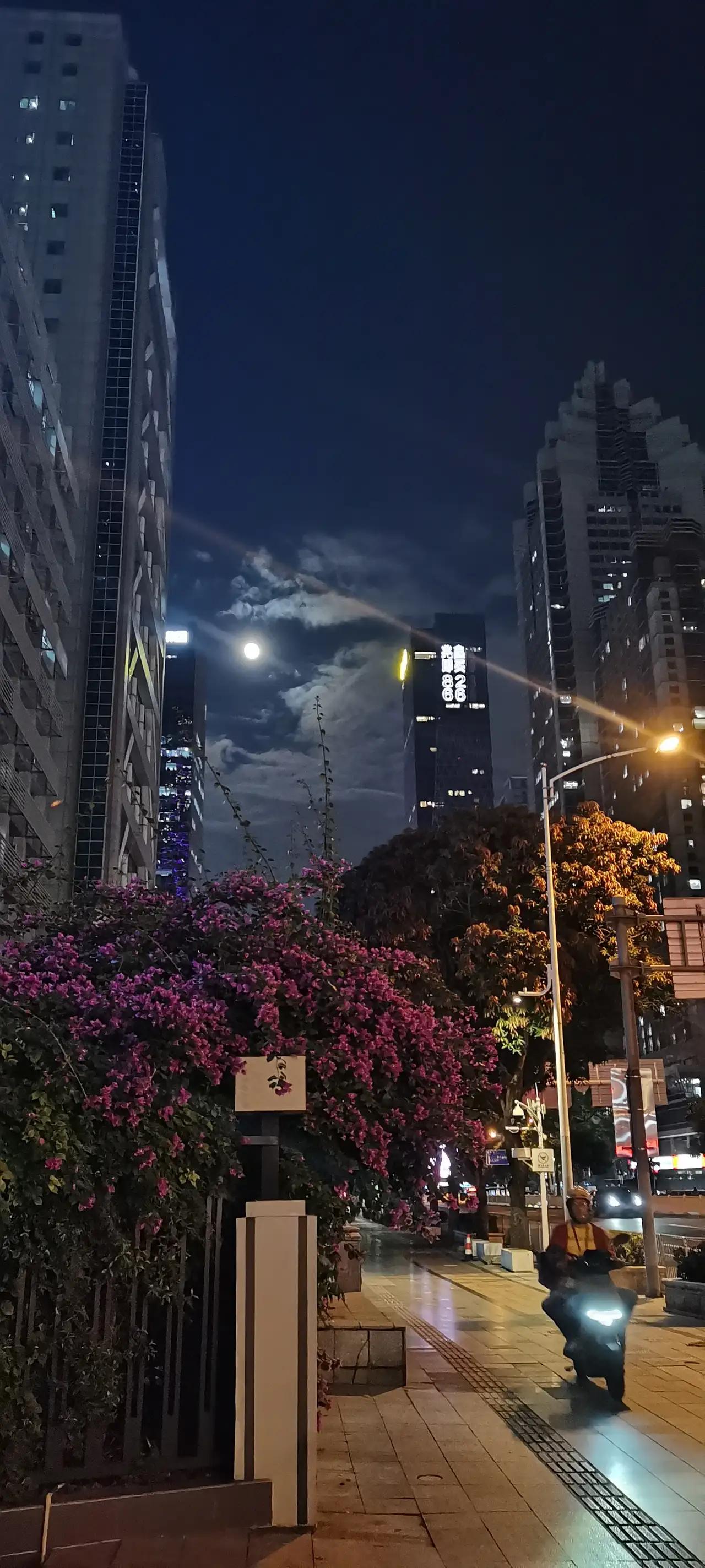 大亚湾Icon，一个名字听起来就带着一股神秘又充满潜力的气息。这片土地，似乎藏着