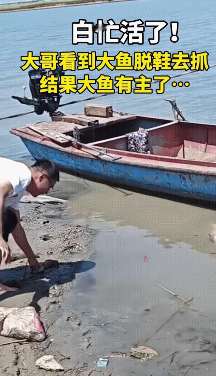“万万没想到！”10月13日报道，安徽一名男子在湖边游玩，突然，一条游在岸边的大