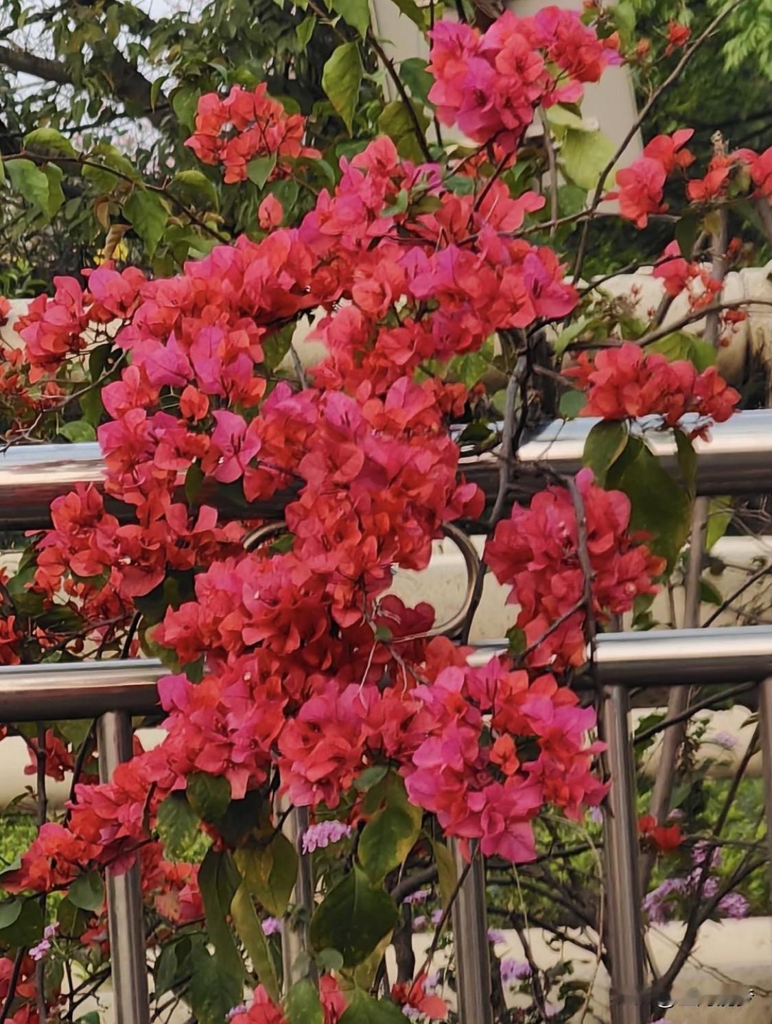 对付骗子，一句话就能让他们破防。要是接到冒充公检法说你账户异常的电话，直接来句“