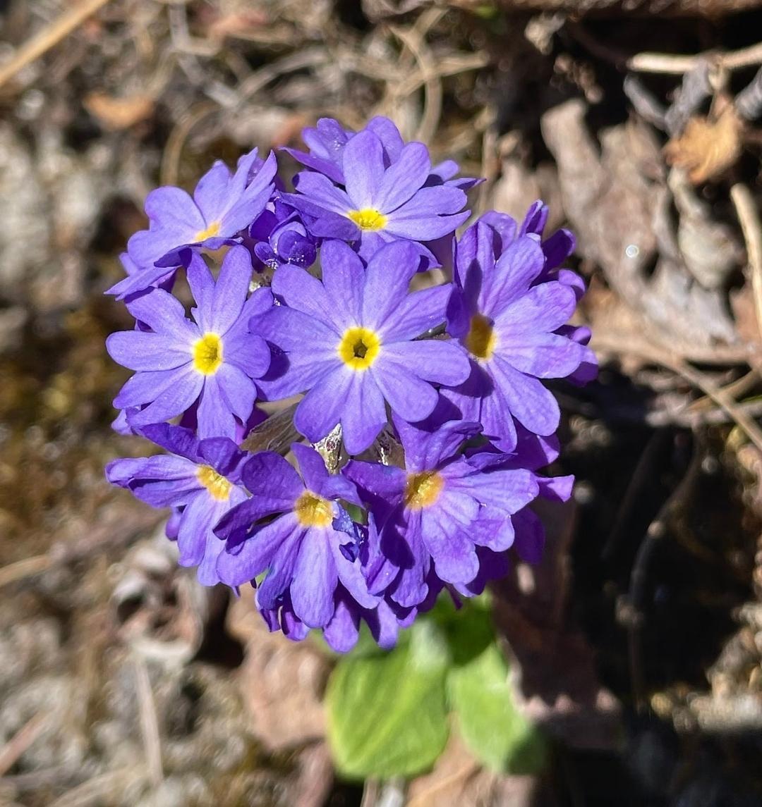 你们发现没，有的人就是命好！同样是活在世上，有人拼尽全力才勉强糊口，有人从出生