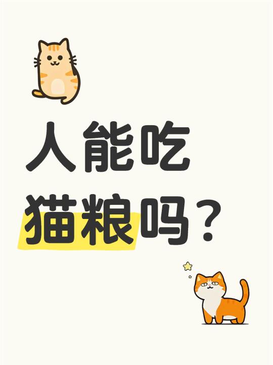 今日迷思