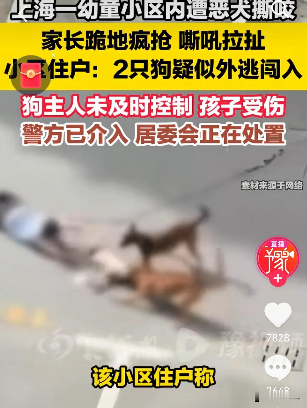 上海青浦，撕咬男童的两只狗已经被强制收容！狗主人也被帽子叔叔带走！孩子两