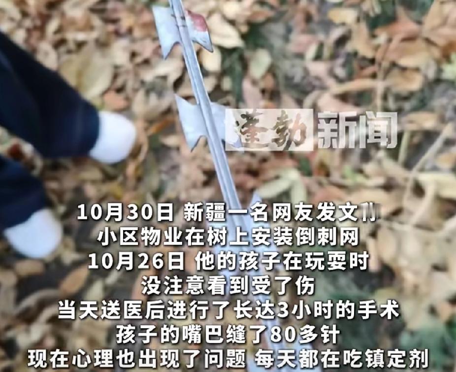 小区为防止车轧草坪，在景观树上安装倒刺网，男孩不慎受伤，嘴缝八十多针，每天都要吃