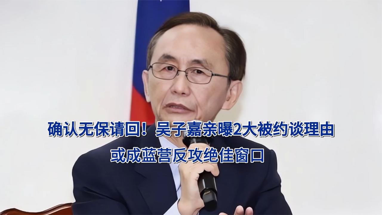 确认无保请回！吴子嘉亲曝2大被约谈理由，或成蓝营反攻绝佳窗口