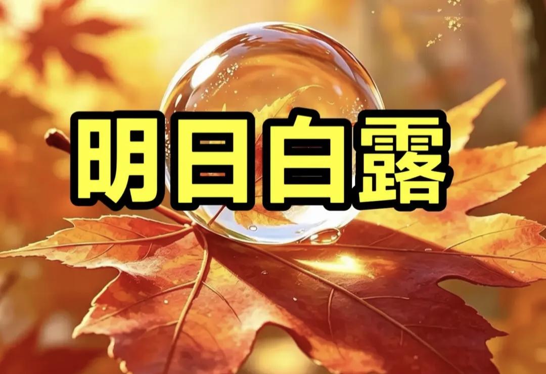 老话"男怕白露"，明日白露，提醒男人：1要留，2要交，3要躲，4不碰明日（2