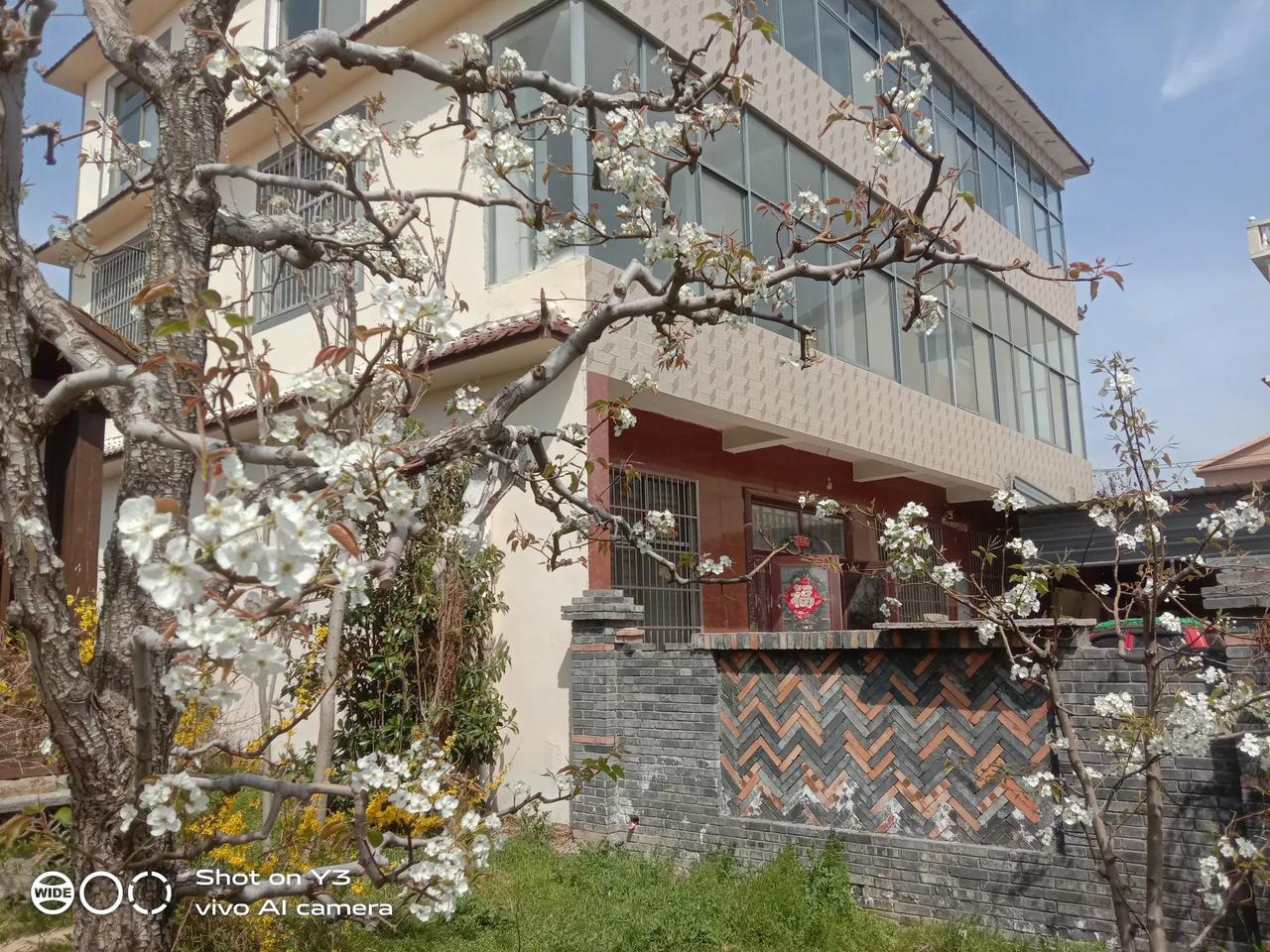 婆媳关系能处到这样程度也是绝了。单位同事55岁，今年八月份退休，她儿媳也是我们