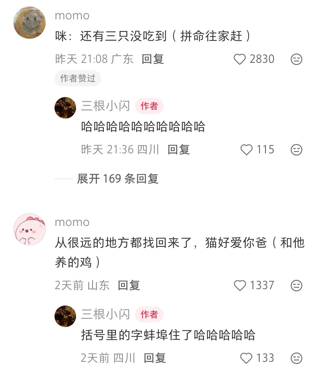 这猫确实太难搞了