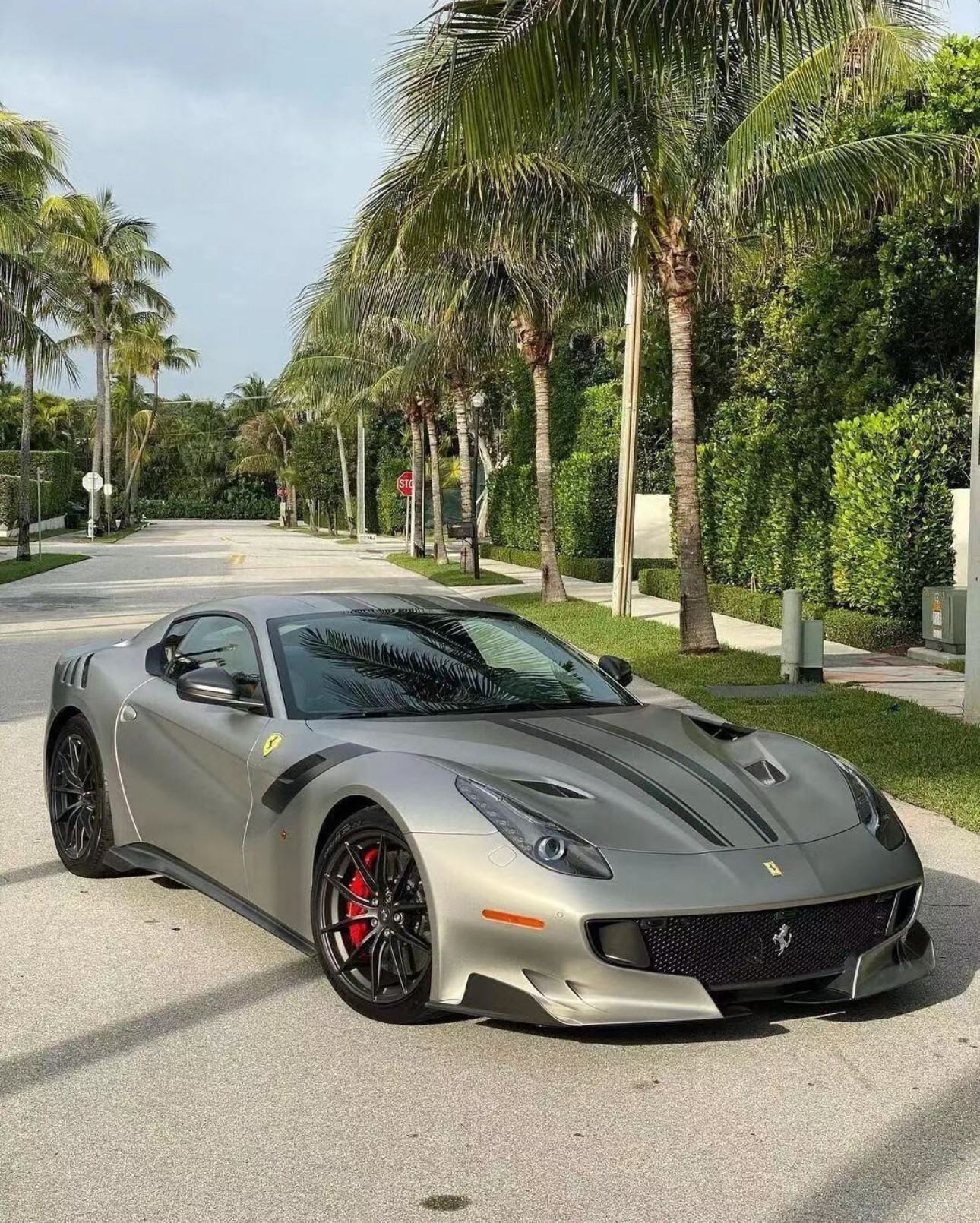 法拉利F12TDF！个人感觉法拉利最好看的前脸[doge][doge][dog
