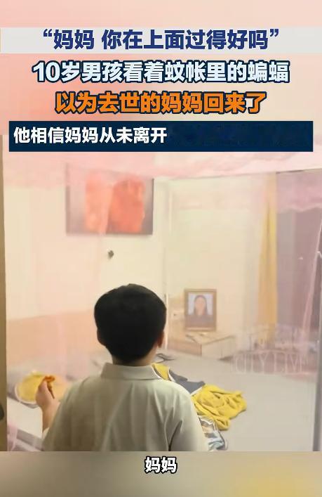 男孩母亲去世两年，他考试回家见蚊帐里有蝙蝠，不仅不害怕，还轻声问是不是妈妈回来看