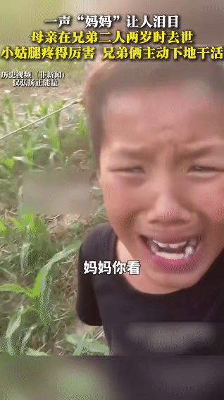 一声“妈妈”，看哭多少人……父母意外离世，留下这对仅2岁的双胞胎兄弟，是姑