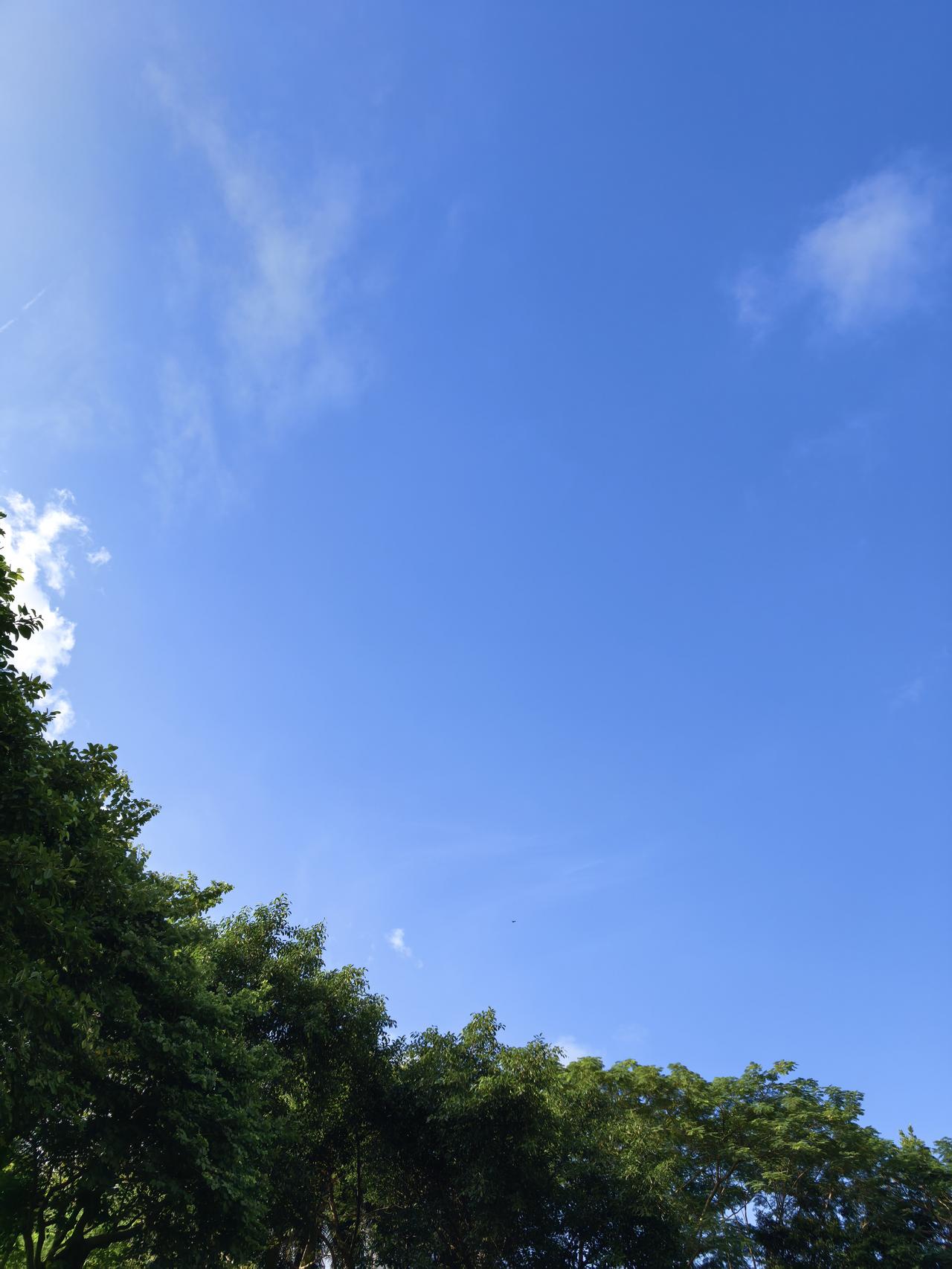 可以分享一张你拍的天空美照吗蓝天如镜，白云如丝，绿树如黛。