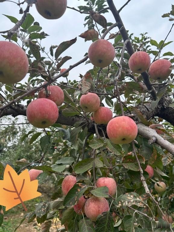 教训！千万不要和小区的人走的太近。我发现人要活得自在，就要享受孤独，凡是一些