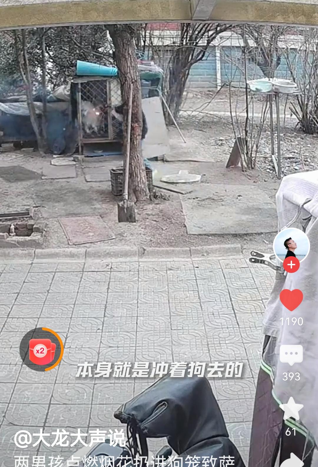 这两个烧死狗的男孩，以后谁还敢和他们在一起上学，玩耍!必须让他们认识到自己的错