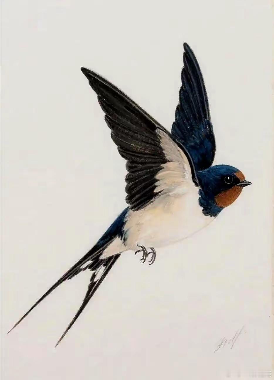 给燕子装上追踪器后，我们几代人的常识，塌了。它们秋天往南飞，根本不是飞到海南岛躲