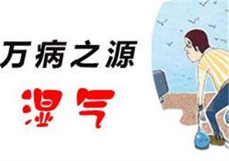 湿气为什么会引起口苦口干等体这么多症状呢?
