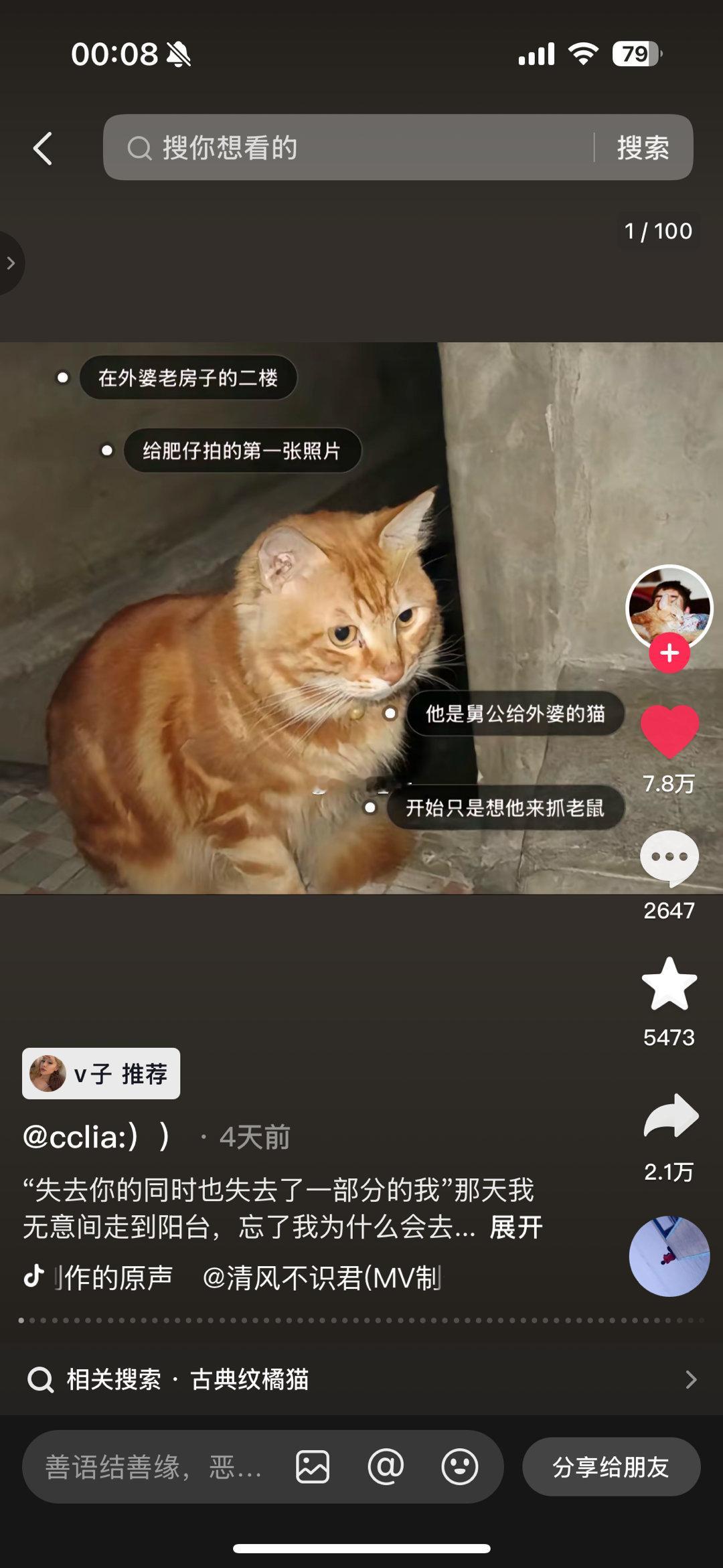 半夜刷抖音哭的要死果然养小猫就是亲手埋下了一颗悲伤的小种子[哭哭][哭哭]